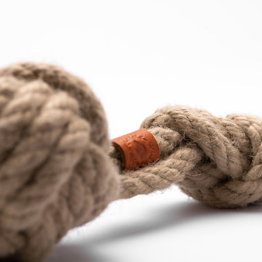 Wurfball - CHOMPSTER